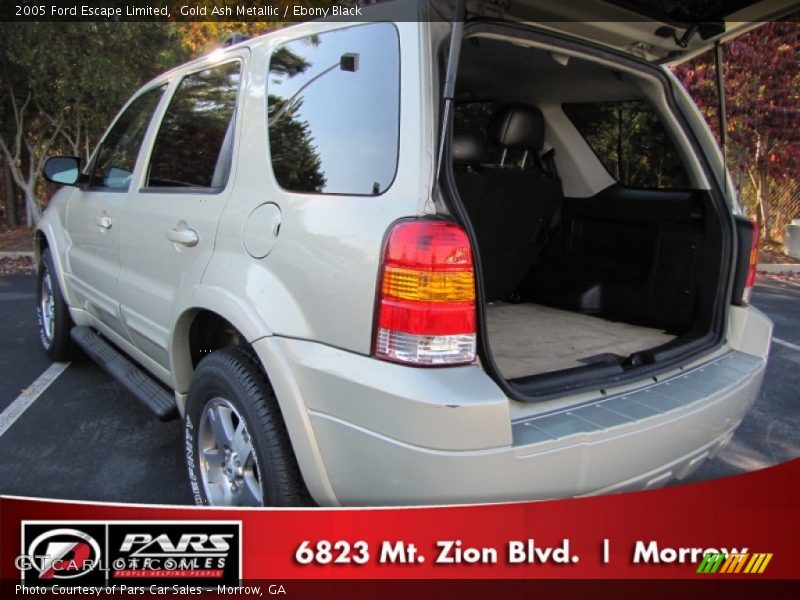 Gold Ash Metallic / Ebony Black 2005 Ford Escape Limited