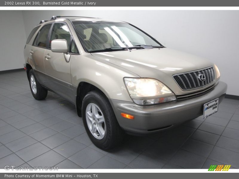 Burnished Gold Metallic / Ivory 2002 Lexus RX 300