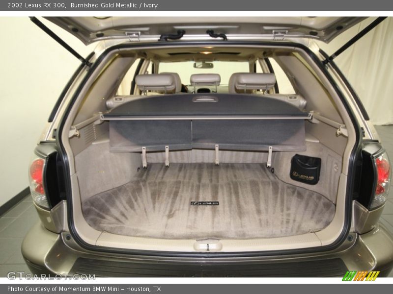 Burnished Gold Metallic / Ivory 2002 Lexus RX 300