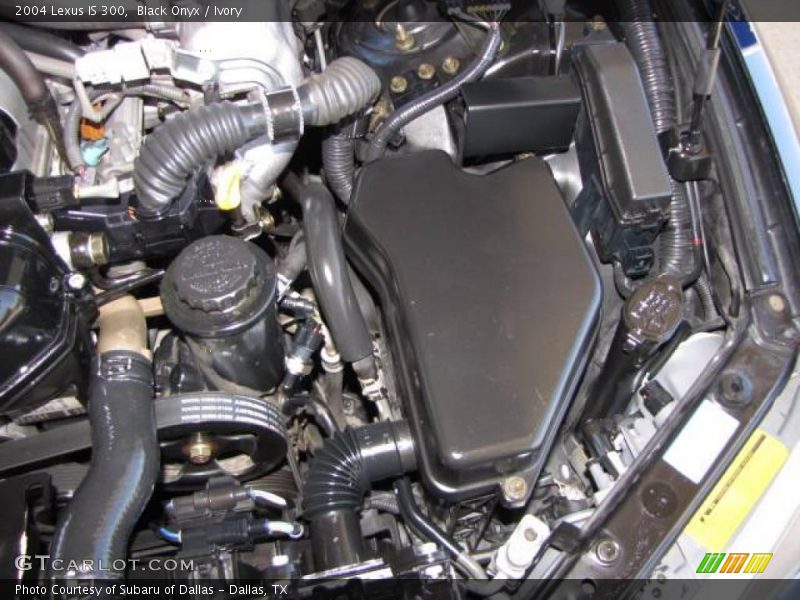 Black Onyx / Ivory 2004 Lexus IS 300