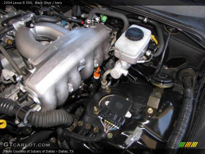 Black Onyx / Ivory 2004 Lexus IS 300