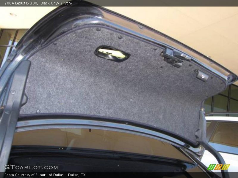 Black Onyx / Ivory 2004 Lexus IS 300