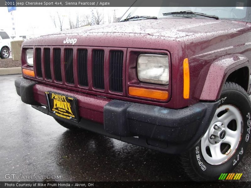 Sienna Pearlcoat / Agate 2001 Jeep Cherokee Sport 4x4