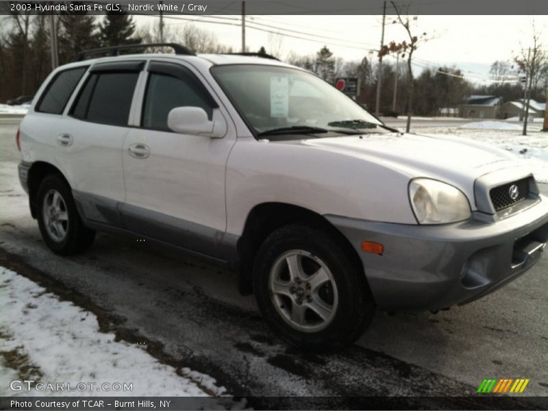 Nordic White / Gray 2003 Hyundai Santa Fe GLS