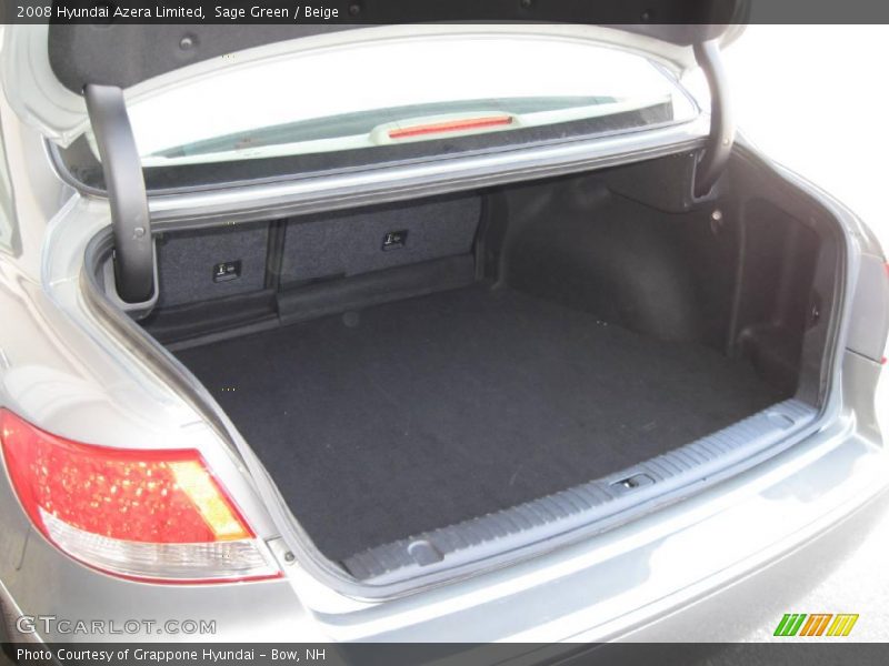 Sage Green / Beige 2008 Hyundai Azera Limited