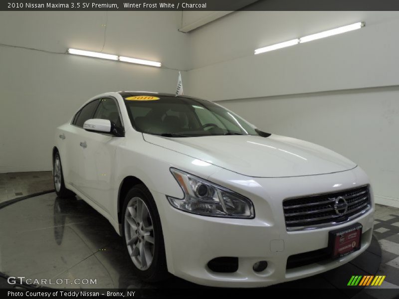 Winter Frost White / Charcoal 2010 Nissan Maxima 3.5 SV Premium
