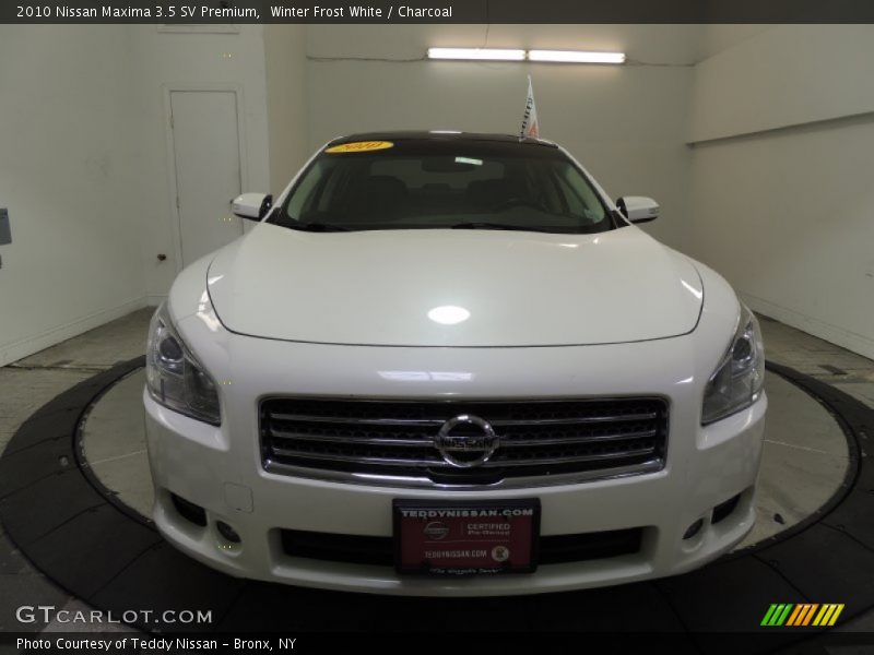 Winter Frost White / Charcoal 2010 Nissan Maxima 3.5 SV Premium