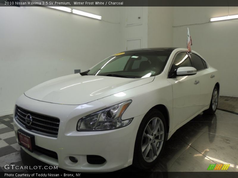 Winter Frost White / Charcoal 2010 Nissan Maxima 3.5 SV Premium