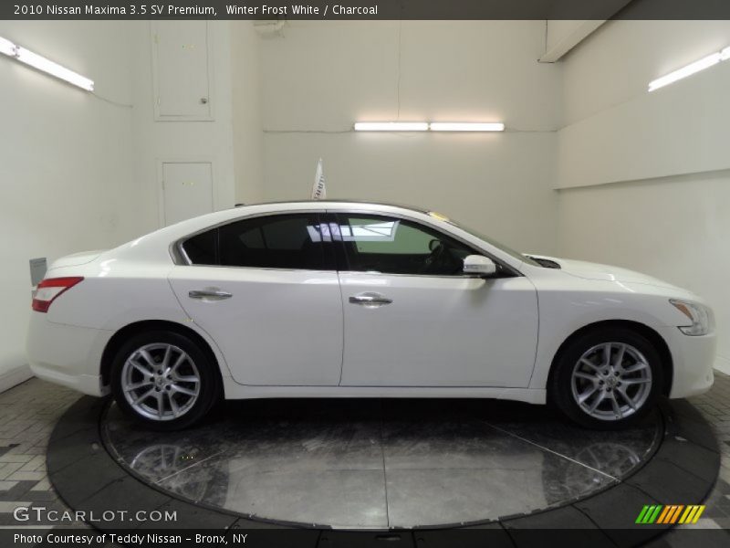 Winter Frost White / Charcoal 2010 Nissan Maxima 3.5 SV Premium