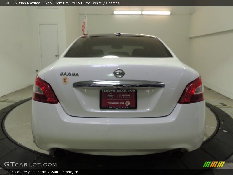 Winter Frost White / Charcoal 2010 Nissan Maxima 3.5 SV Premium