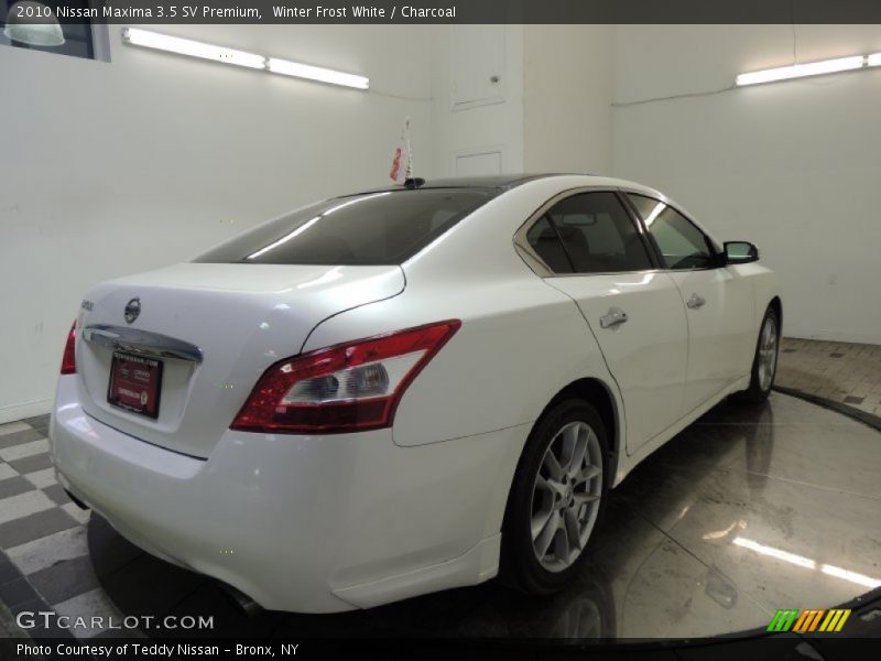 Winter Frost White / Charcoal 2010 Nissan Maxima 3.5 SV Premium