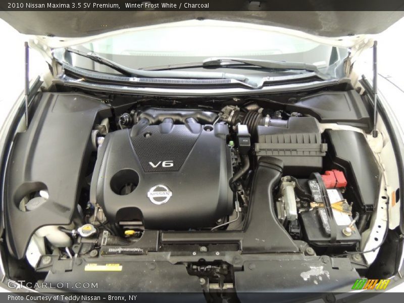 Winter Frost White / Charcoal 2010 Nissan Maxima 3.5 SV Premium