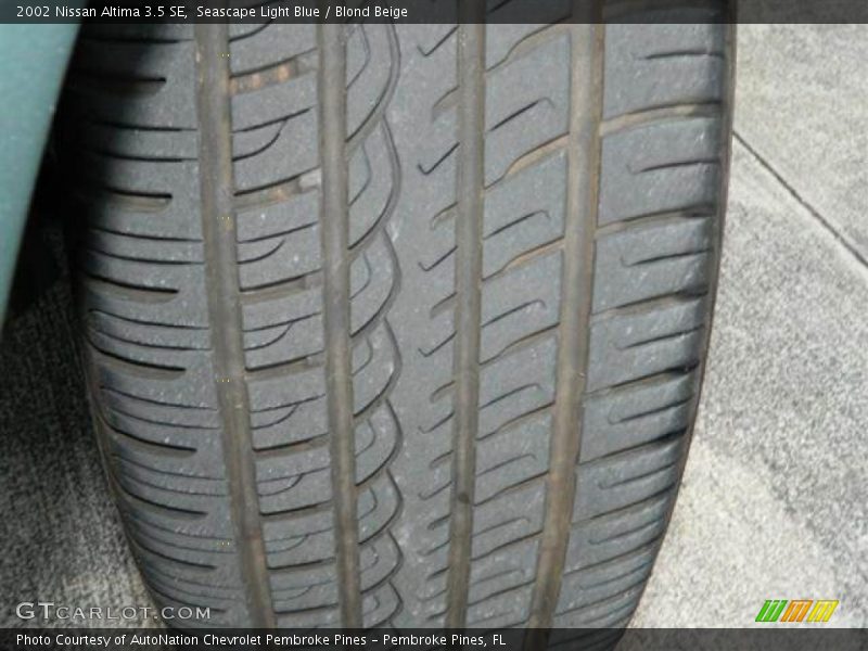 Seascape Light Blue / Blond Beige 2002 Nissan Altima 3.5 SE