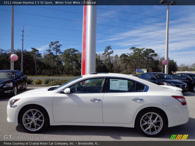 Winter Frost White / Charcoal 2011 Nissan Maxima 3.5 SV Sport