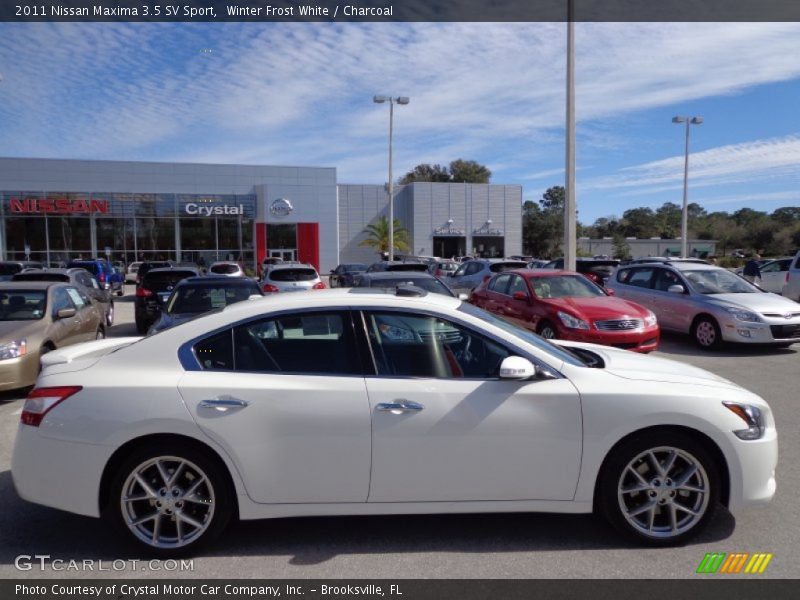 Winter Frost White / Charcoal 2011 Nissan Maxima 3.5 SV Sport