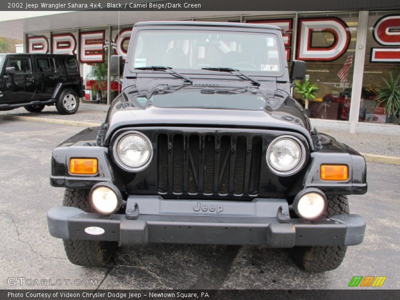 Black / Camel Beige/Dark Green 2002 Jeep Wrangler Sahara 4x4