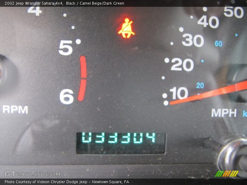 Black / Camel Beige/Dark Green 2002 Jeep Wrangler Sahara 4x4