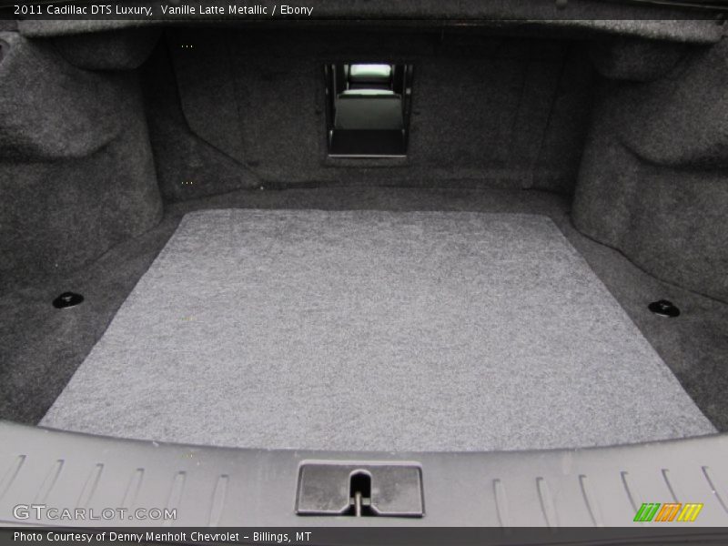 Vanille Latte Metallic / Ebony 2011 Cadillac DTS Luxury