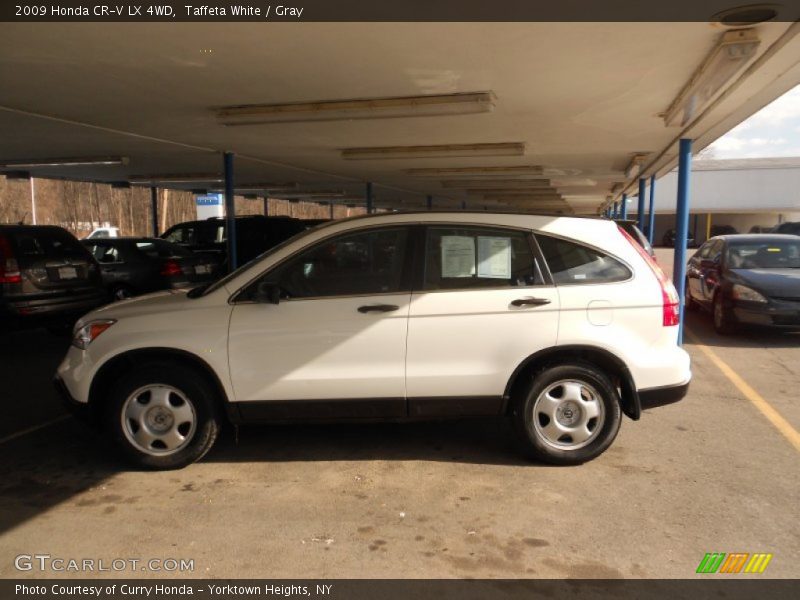 Taffeta White / Gray 2009 Honda CR-V LX 4WD