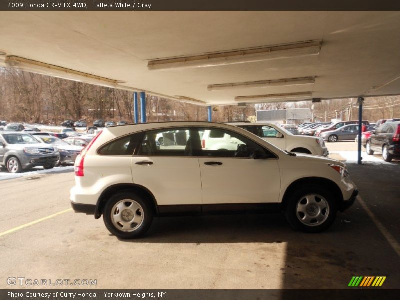 Taffeta White / Gray 2009 Honda CR-V LX 4WD