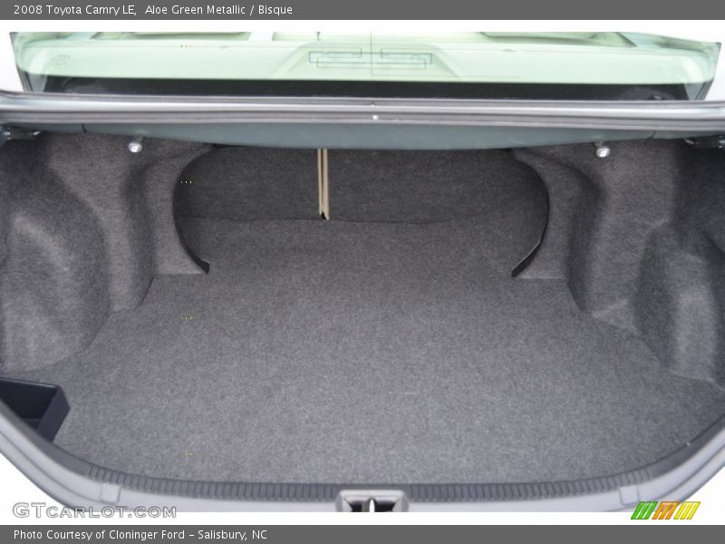 Aloe Green Metallic / Bisque 2008 Toyota Camry LE