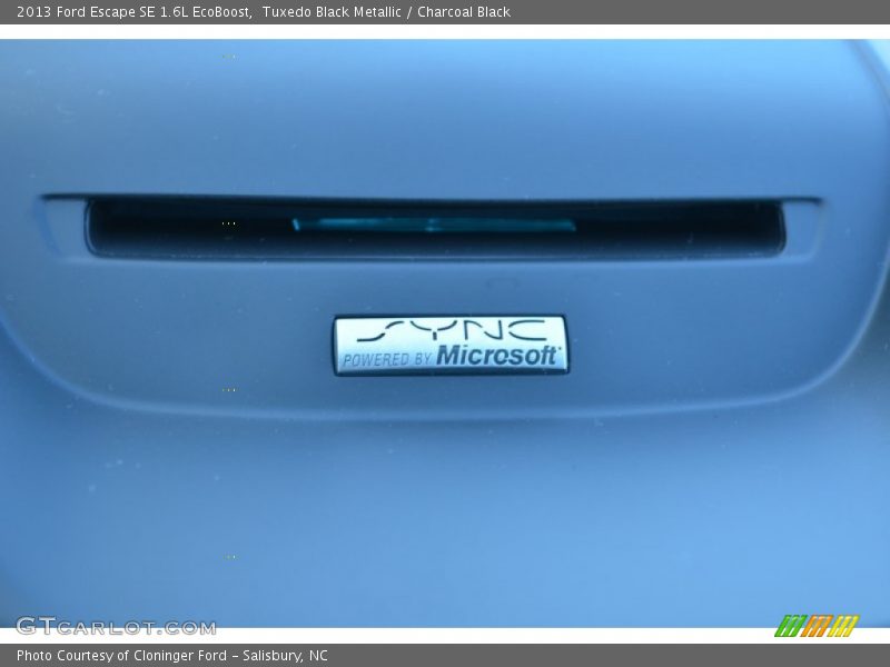 Tuxedo Black Metallic / Charcoal Black 2013 Ford Escape SE 1.6L EcoBoost