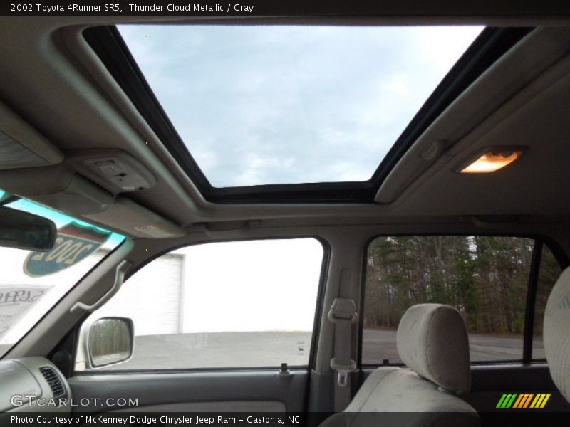 Thunder Cloud Metallic / Gray 2002 Toyota 4Runner SR5
