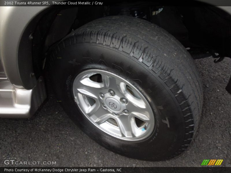 Thunder Cloud Metallic / Gray 2002 Toyota 4Runner SR5