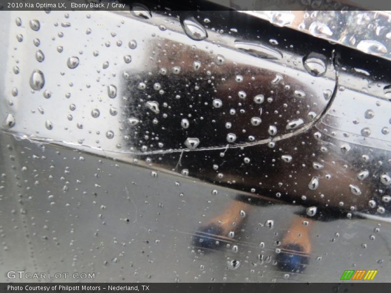 Ebony Black / Gray 2010 Kia Optima LX