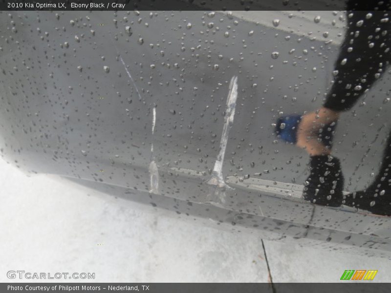 Ebony Black / Gray 2010 Kia Optima LX