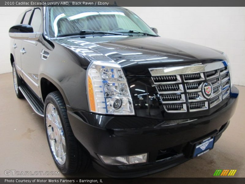 Black Raven / Ebony 2010 Cadillac Escalade Luxury AWD