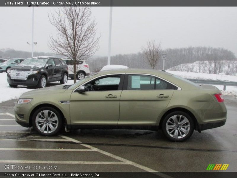 Ginger Ale / Charcoal Black 2012 Ford Taurus Limited