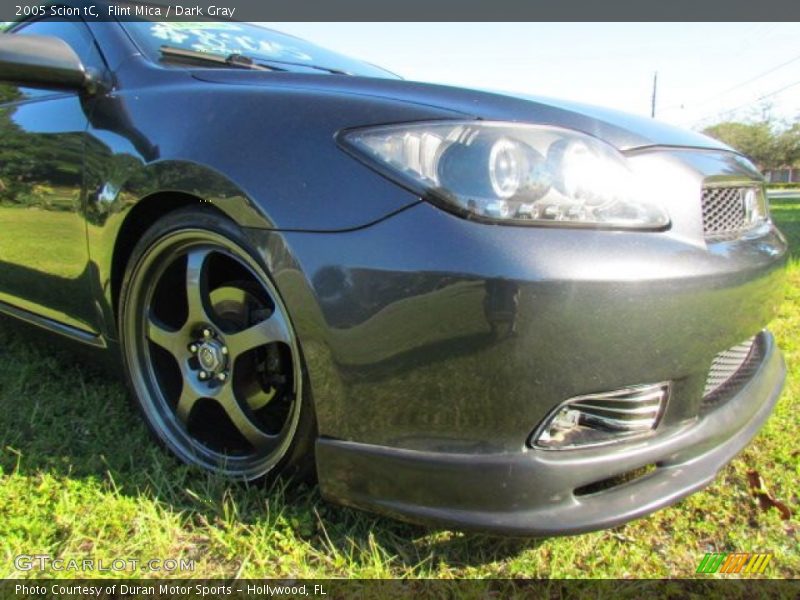 Flint Mica / Dark Gray 2005 Scion tC