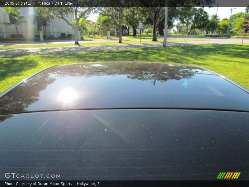 Flint Mica / Dark Gray 2005 Scion tC