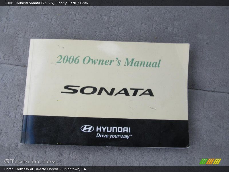 Ebony Black / Gray 2006 Hyundai Sonata GLS V6