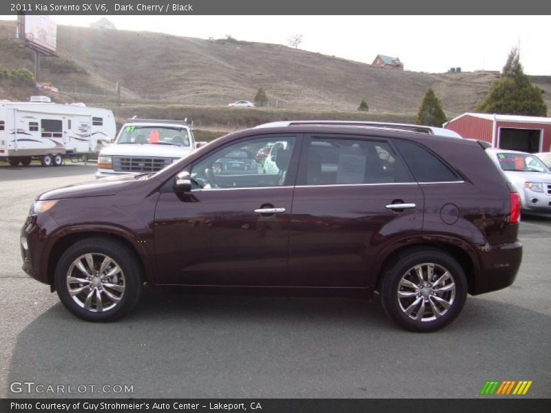 Dark Cherry / Black 2011 Kia Sorento SX V6