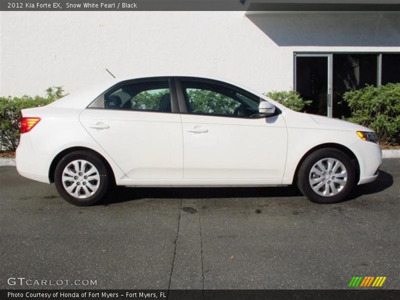 Snow White Pearl / Black 2012 Kia Forte EX