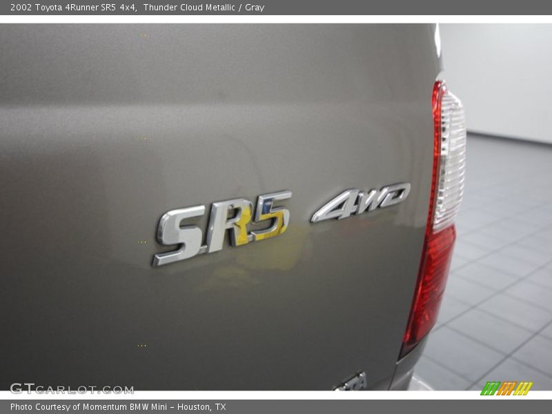 Thunder Cloud Metallic / Gray 2002 Toyota 4Runner SR5 4x4
