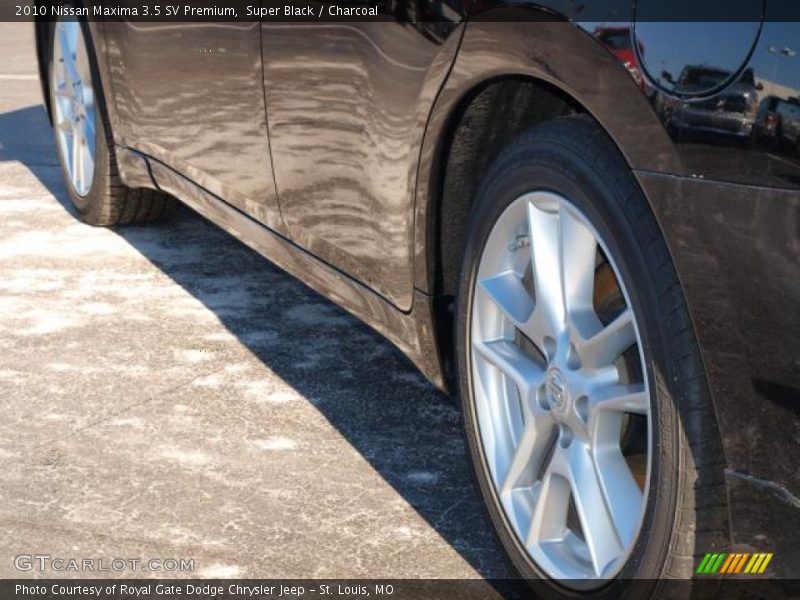 Super Black / Charcoal 2010 Nissan Maxima 3.5 SV Premium