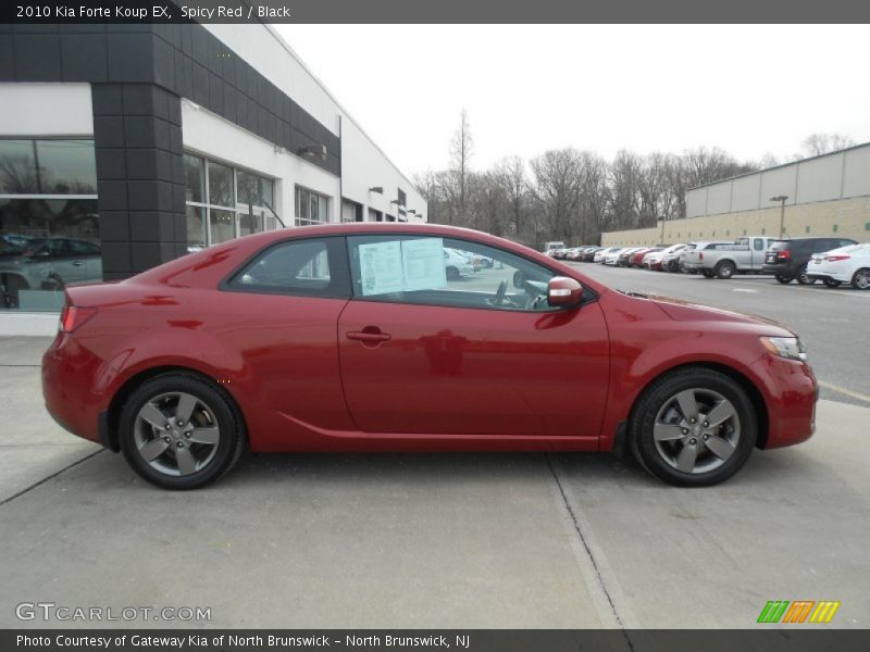 Spicy Red / Black 2010 Kia Forte Koup EX