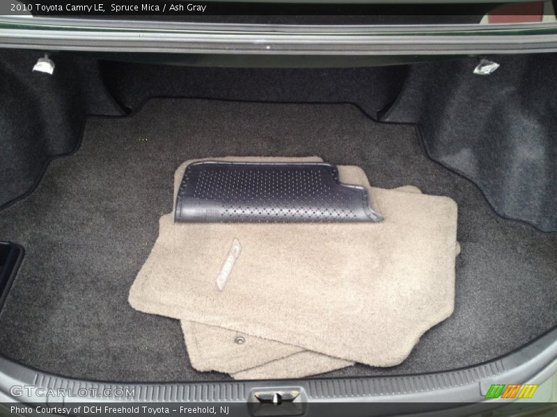 Spruce Mica / Ash Gray 2010 Toyota Camry LE