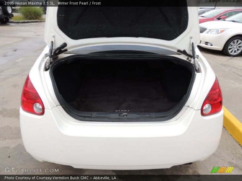 Winter Frost Pearl / Frost 2005 Nissan Maxima 3.5 SL