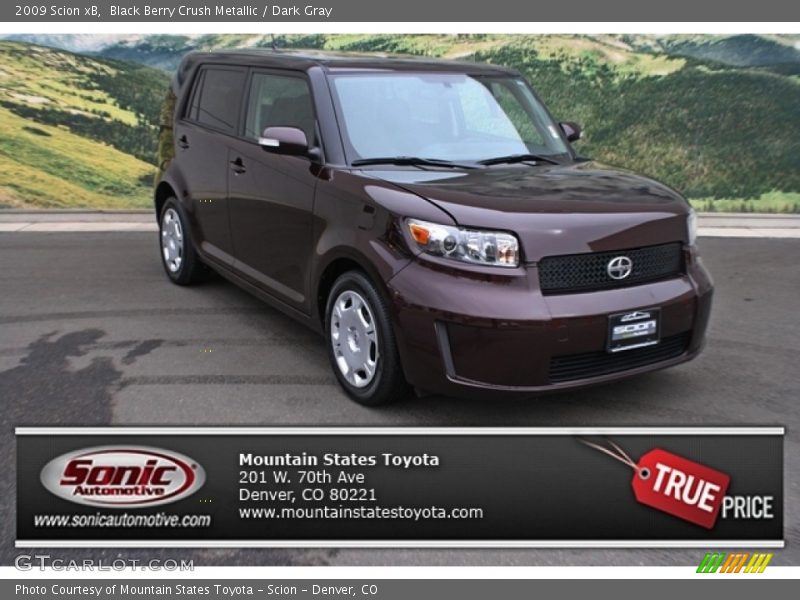 Black Berry Crush Metallic / Dark Gray 2009 Scion xB