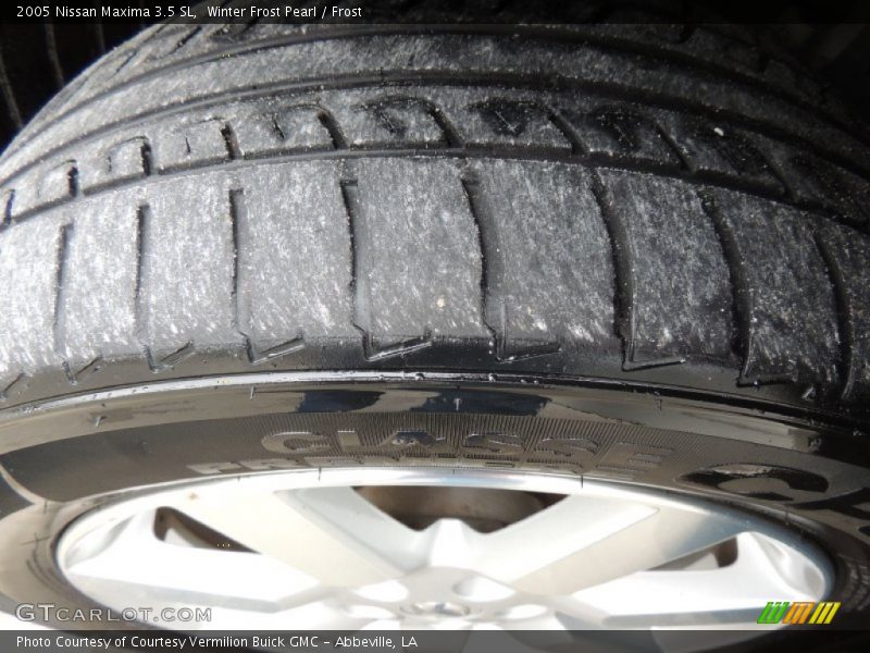 Winter Frost Pearl / Frost 2005 Nissan Maxima 3.5 SL