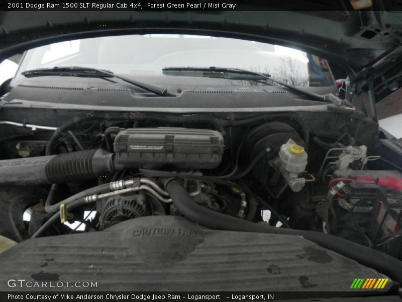 Forest Green Pearl / Mist Gray 2001 Dodge Ram 1500 SLT Regular Cab 4x4