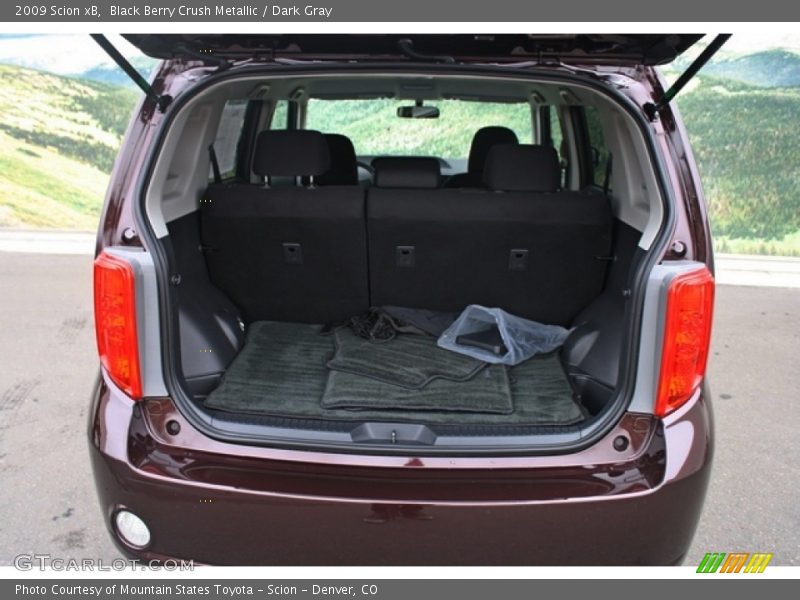 Black Berry Crush Metallic / Dark Gray 2009 Scion xB