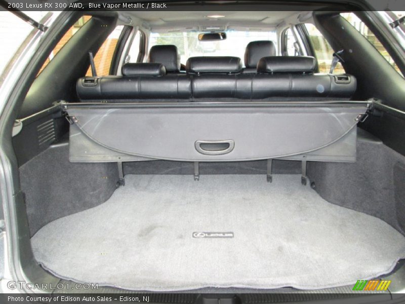  2003 RX 300 AWD Trunk