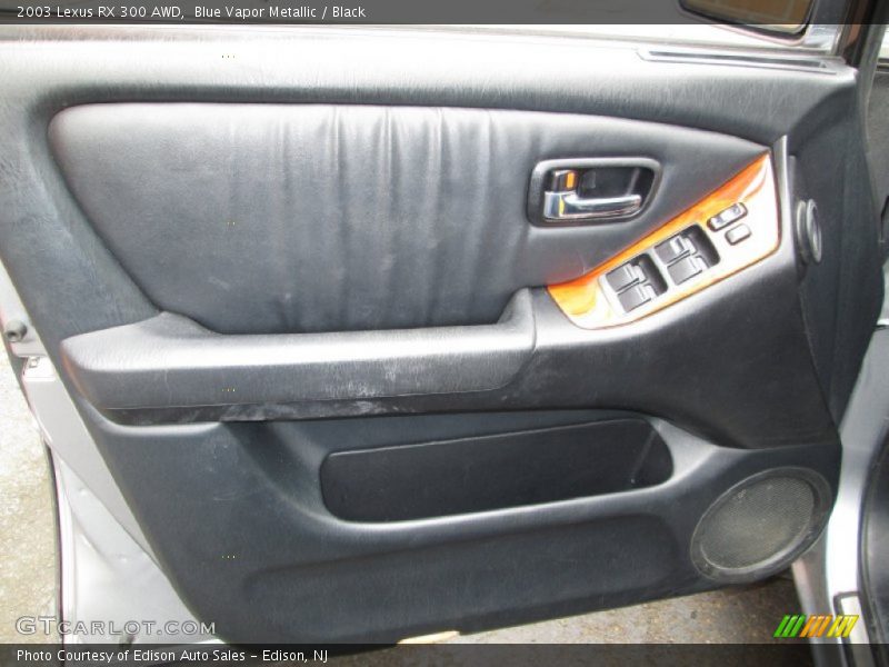 Door Panel of 2003 RX 300 AWD