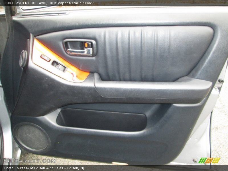 Door Panel of 2003 RX 300 AWD