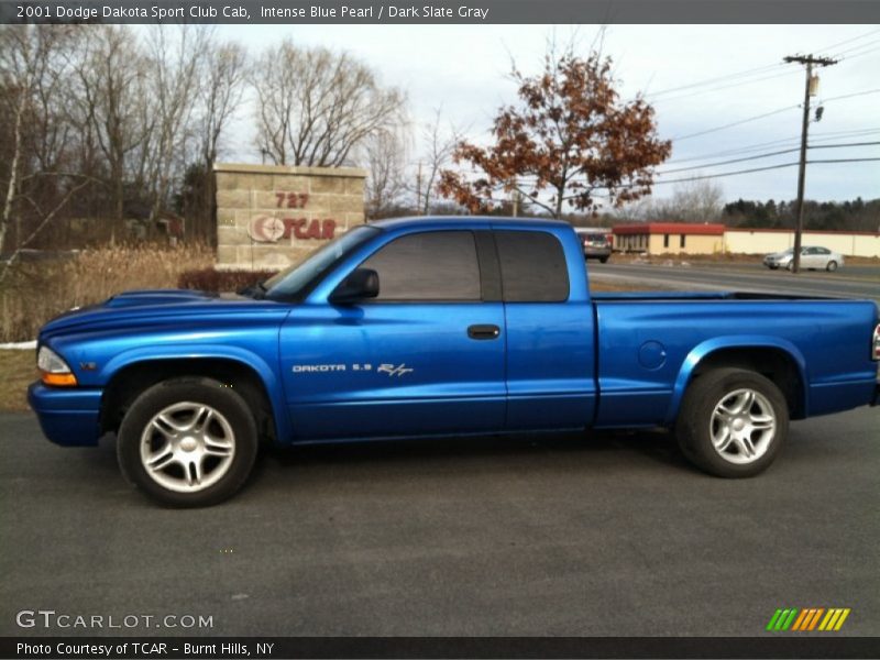 Intense Blue Pearl / Dark Slate Gray 2001 Dodge Dakota Sport Club Cab